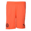 PUMA Adult Home GK Shorts 24/25 - Orange