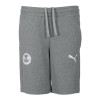 PUMA Adult Travel Short 24-25 - Grey